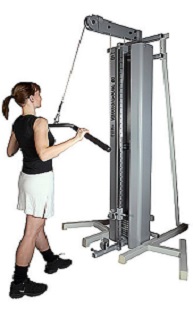 Vertical Pulley